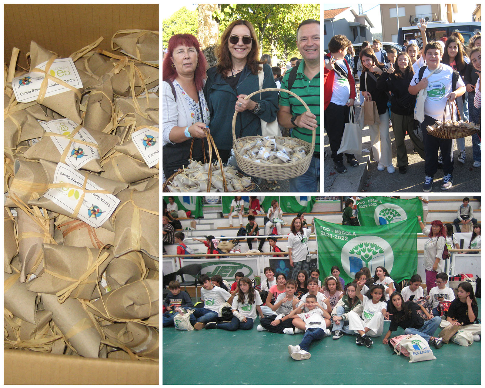 Dia_das_Bandeiras_Verdes__GALARDÃO_ECO-ESCOLAS_2022_1600.jpg