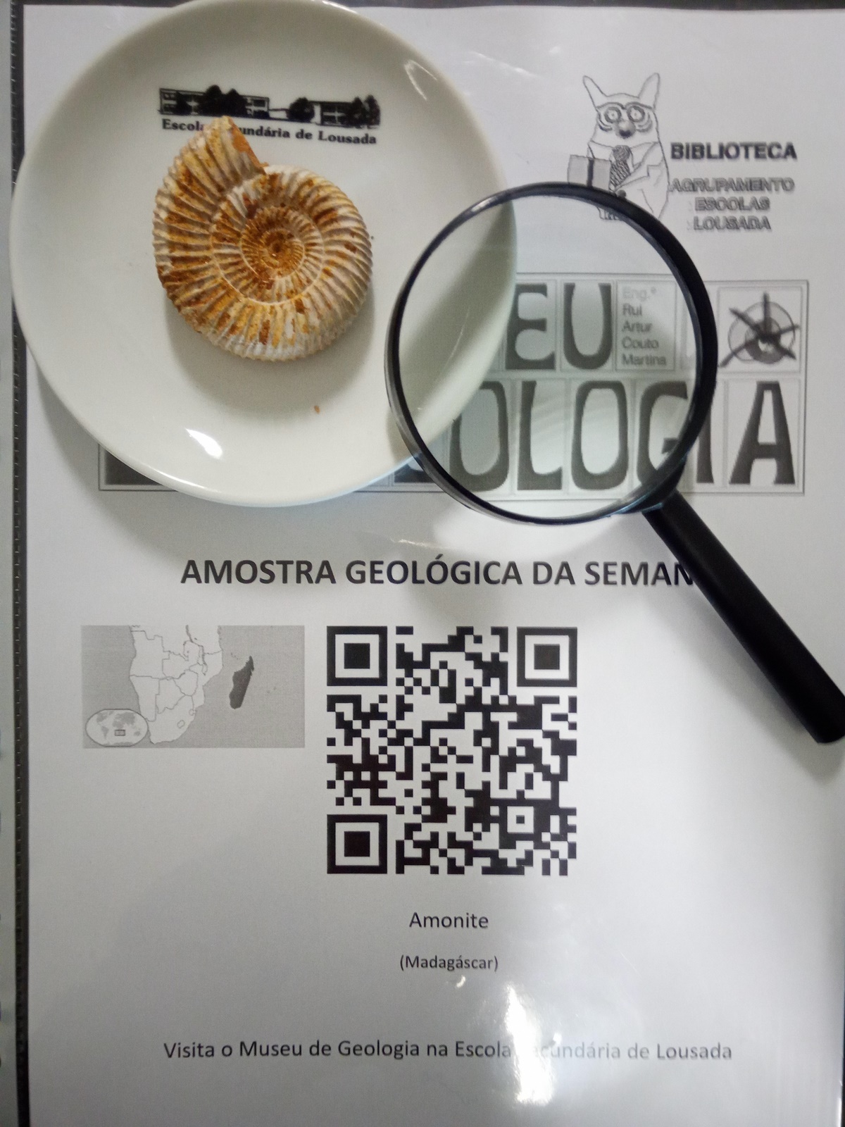 19 01 25 icon maxi museu biblioteca semana5