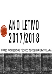 19 01 29 icon portefolio rs 2017 2018