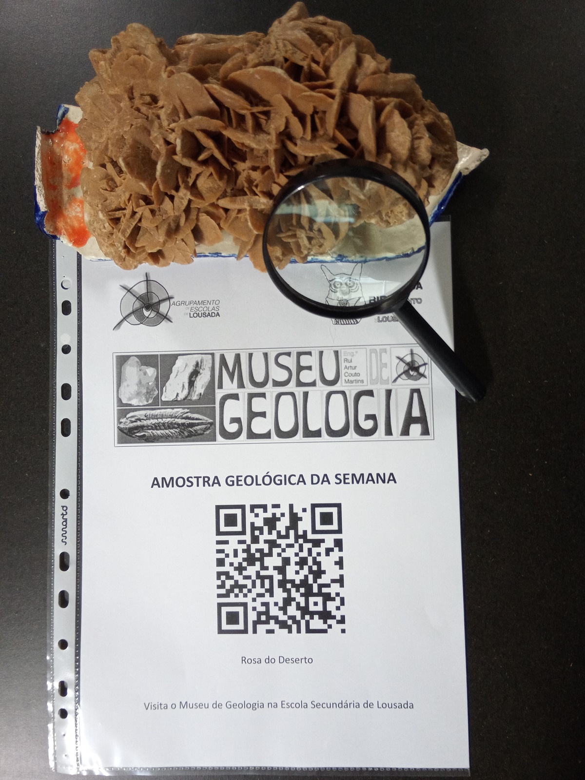 19 02 22 cartaz amostra semana 9 rosa deserto