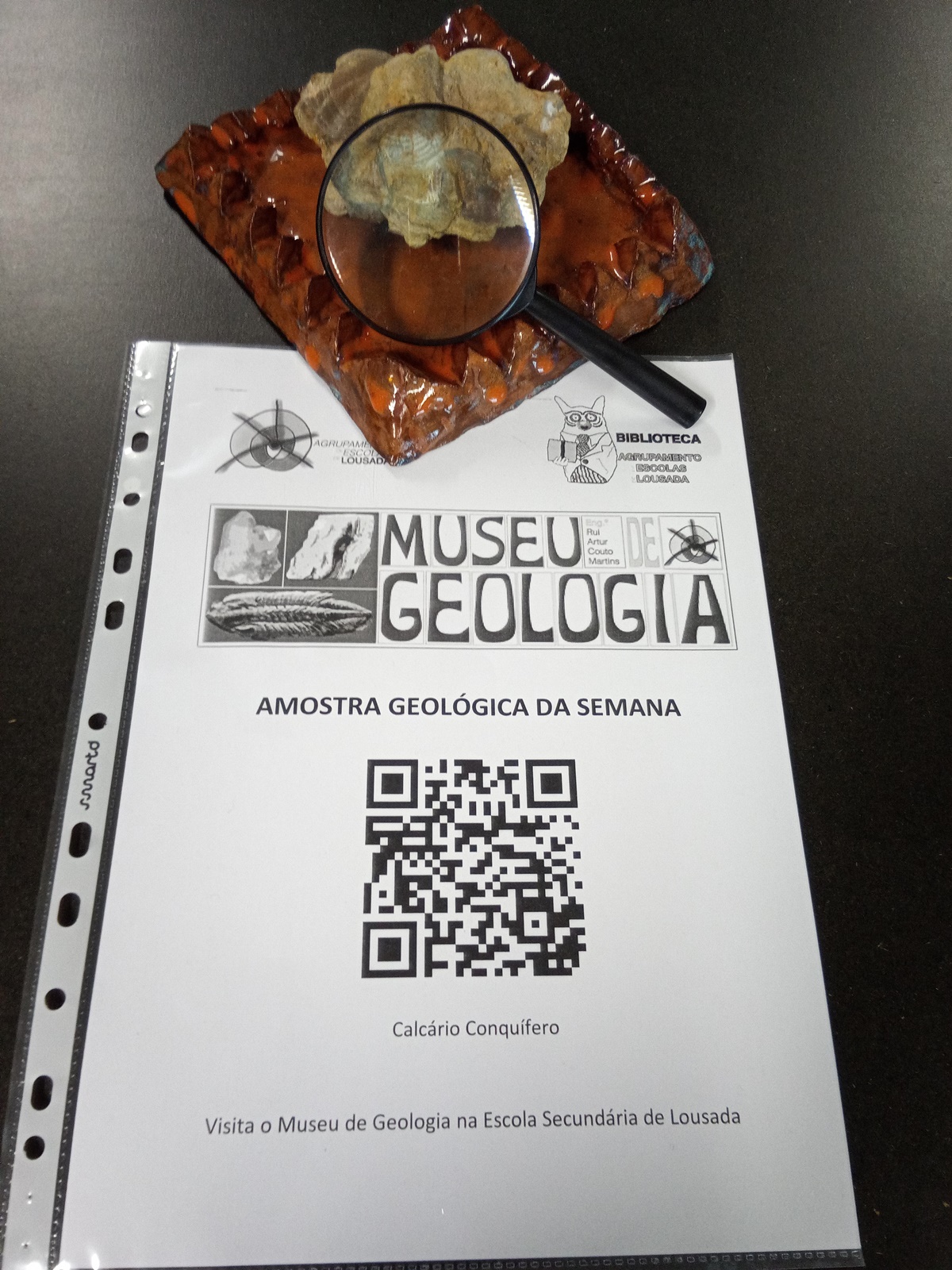 19 03 08 cartaz amostra semana 10 calcario conquifero