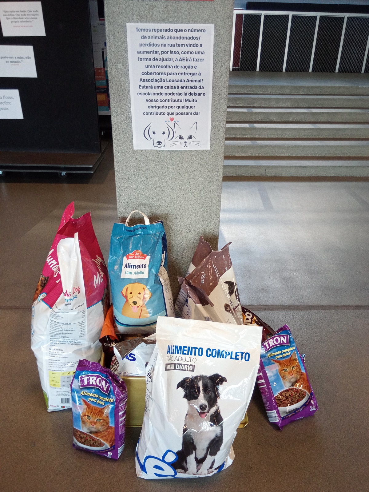 19 03 11 cartaz campanha solidariedade animal