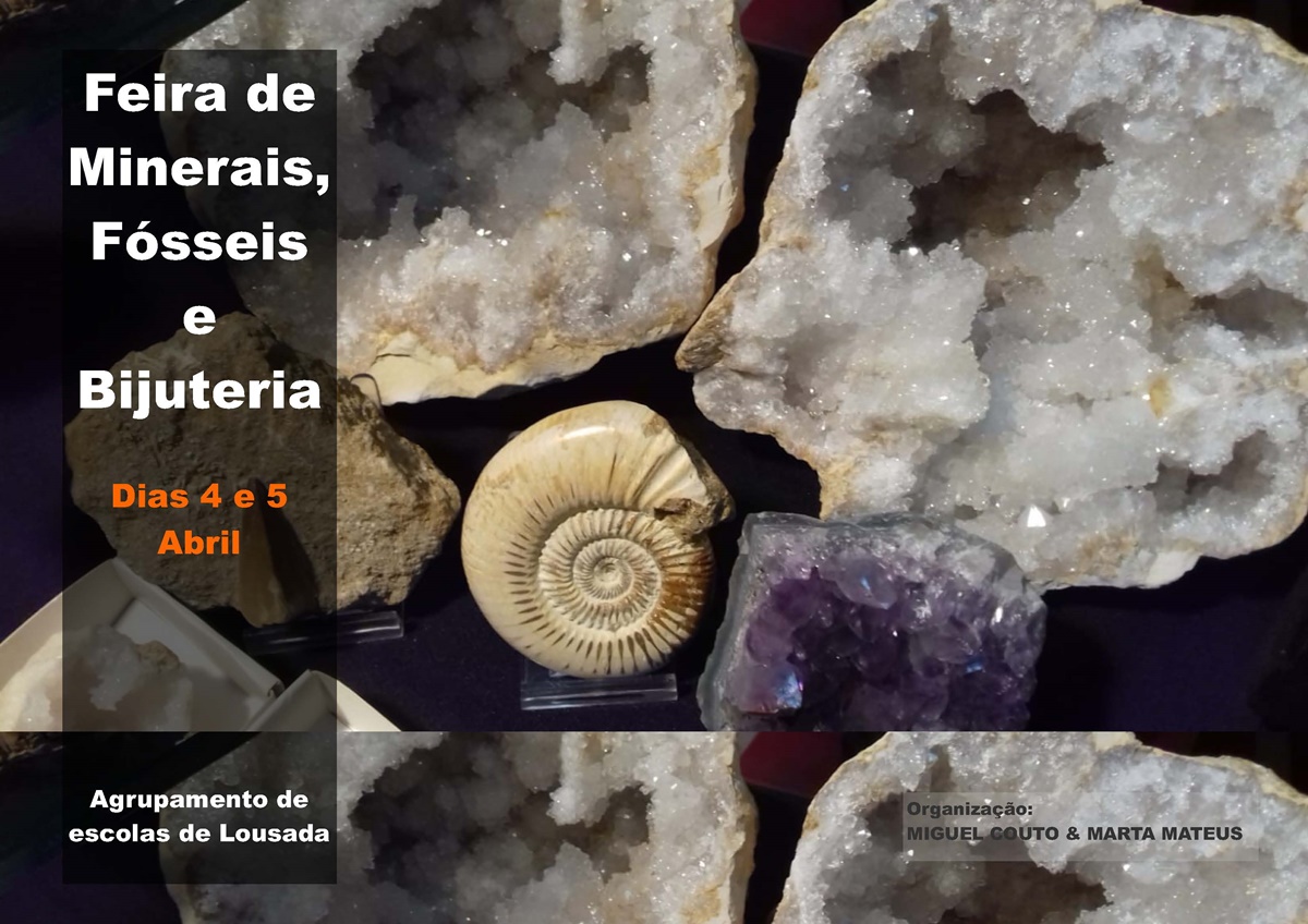 19 03 26 cartaz minerais fosseis