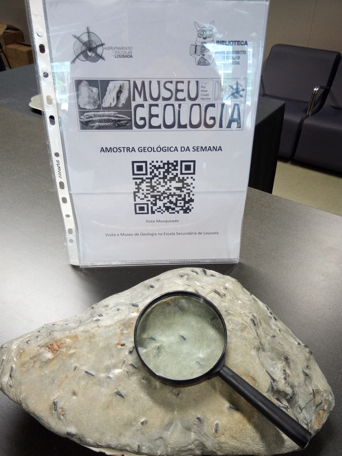 19 05 20 icon maxi museu semana 15