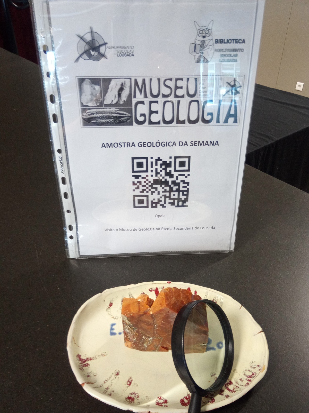 19 05 27 icon maxi semana 16