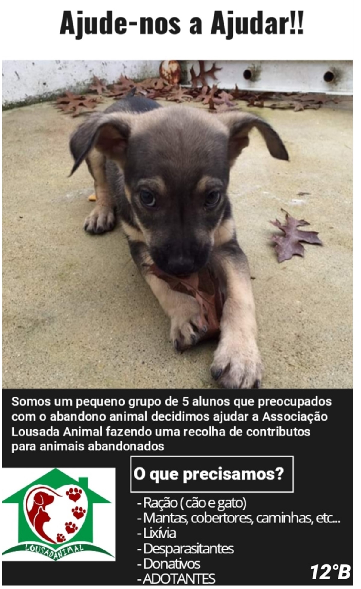 19 12 06 cartaz campanha solidaria animais