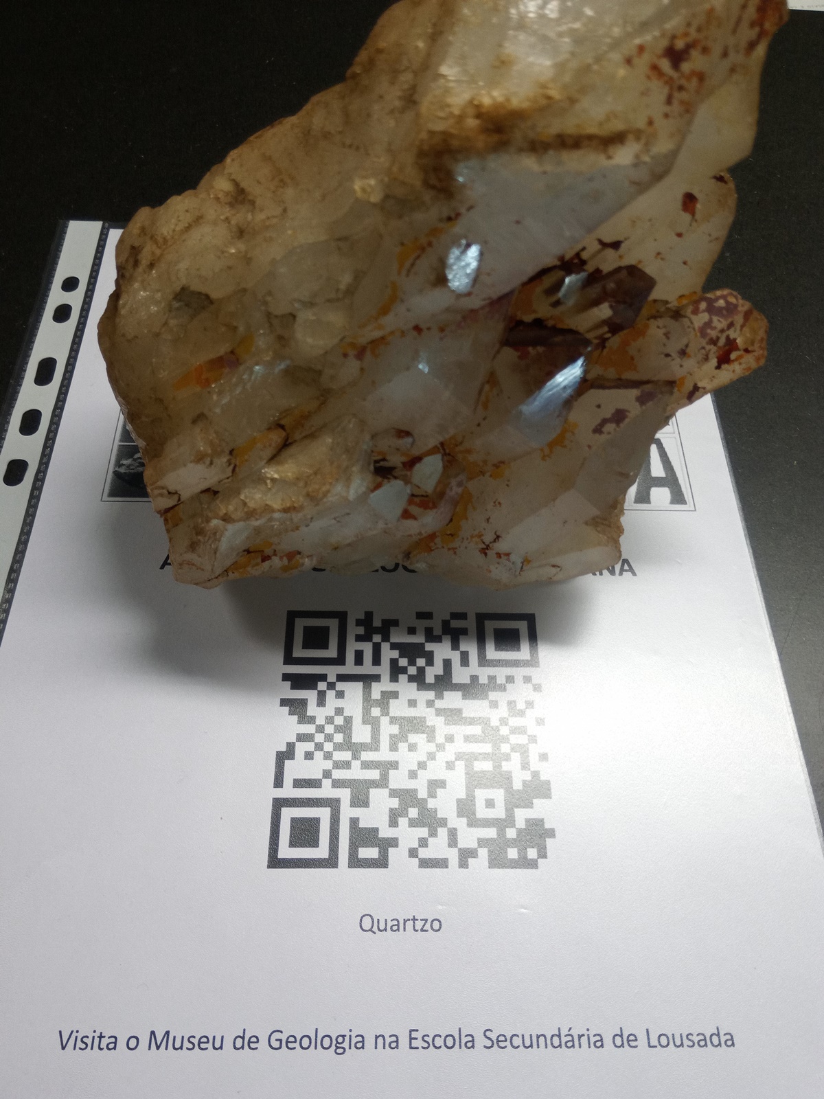 19 12 06 icon maxi museu vai biblioteca quartzo