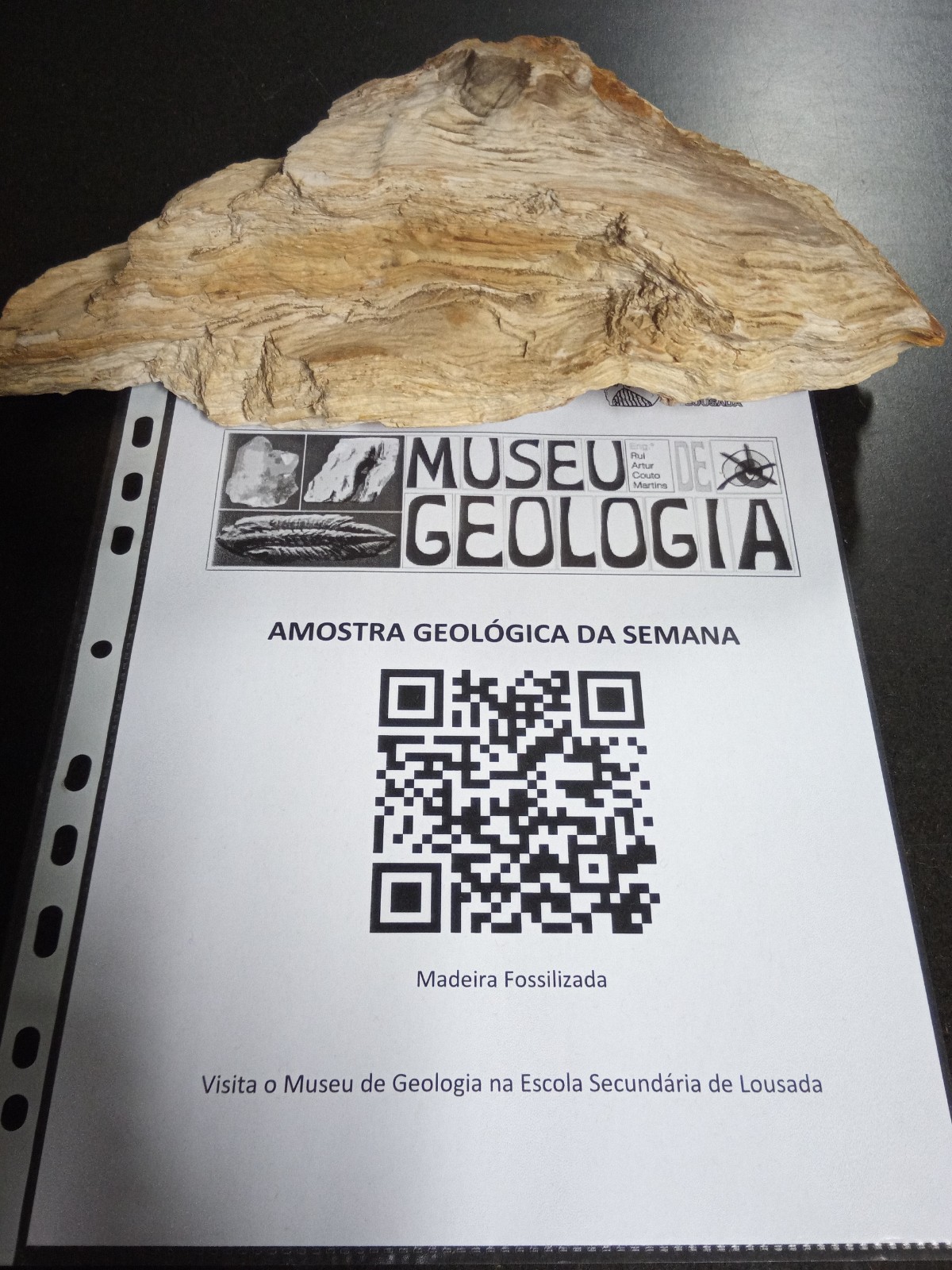 19 12 17 icon maxi amostra 18