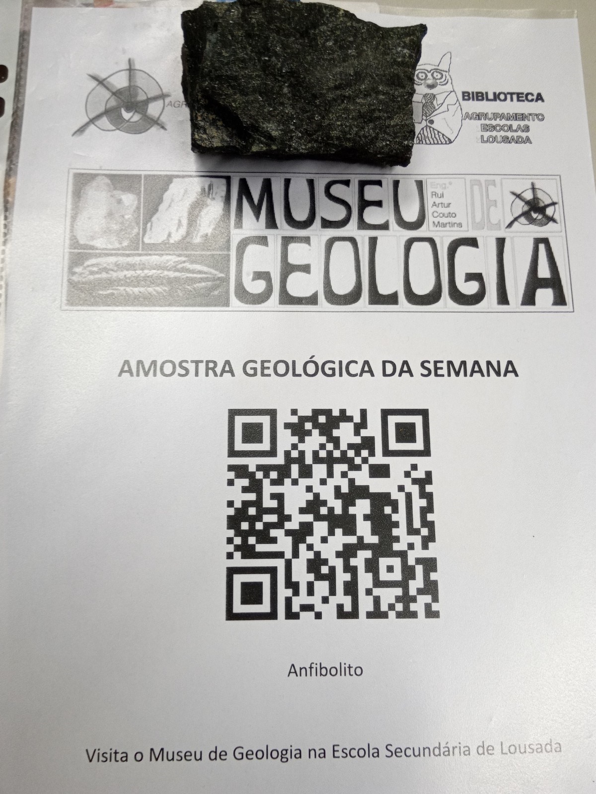 20 01 29 cartaz amostra 21