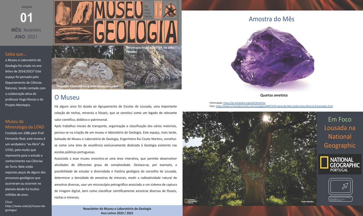 21 02 22 icon maxi newsletter 01 museu geologia amostra mes 02