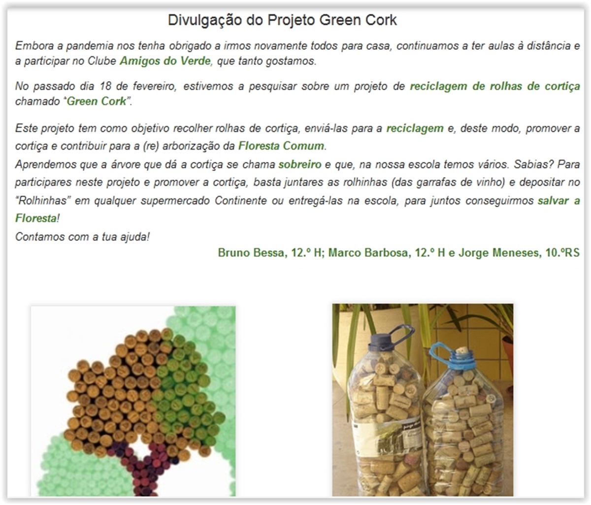 21 03 01 icon maxi apanhados na rede clube amigos verde