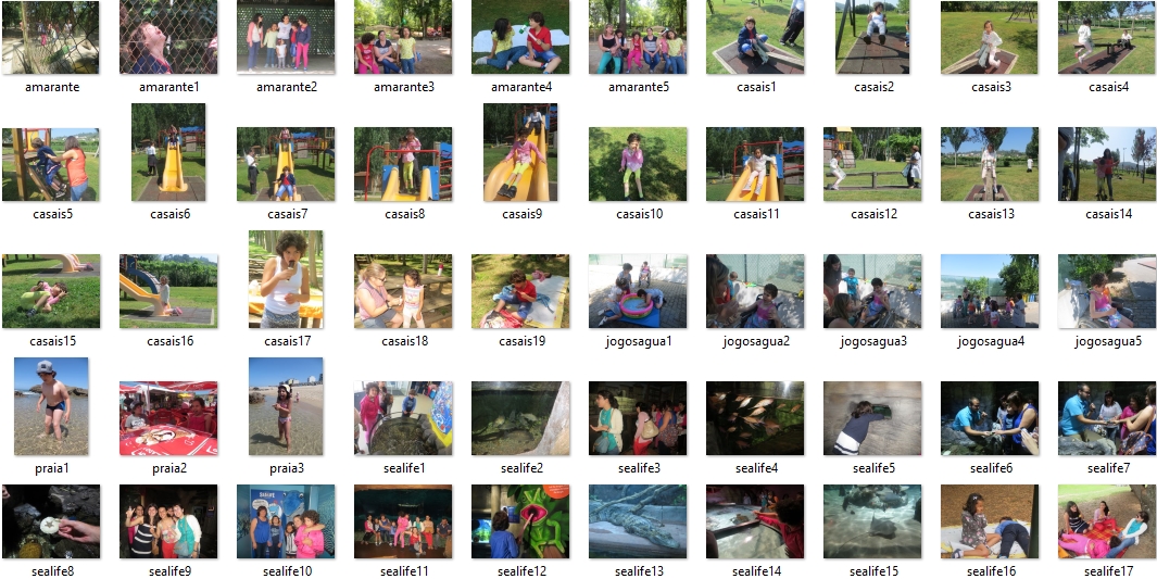 15 08 13 icon atividades final ano uaem